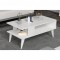  CAFFEE TABLE - T564