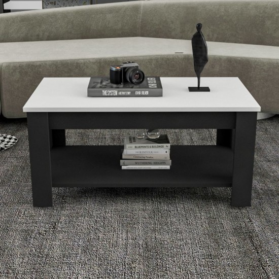  CAFFEE TABLE - T572